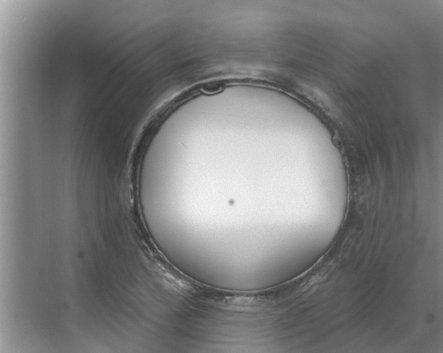 X0000068771172200605121654