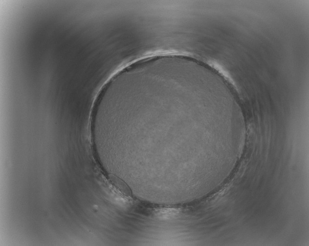 X0000068771173200605121654