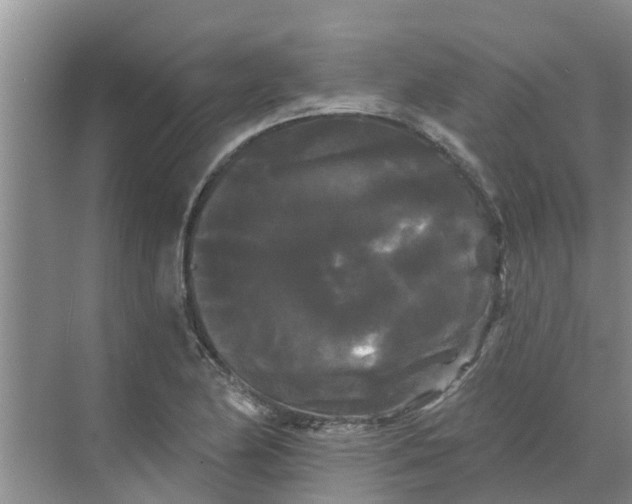 X0000068771174200605121654