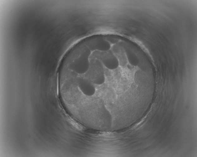 X0000068771175200605121654