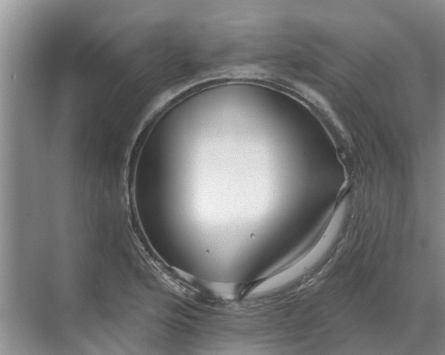 X0000068771176200605121654