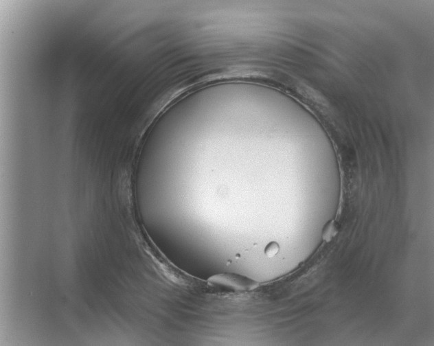 X0000068771177200605121654