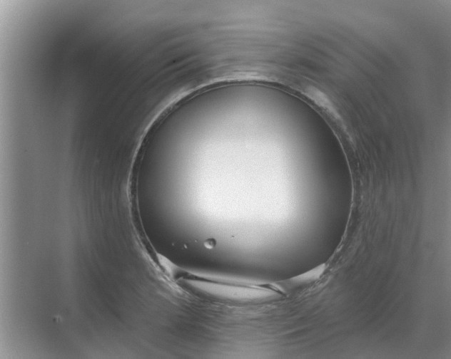 X0000068771181200605121654