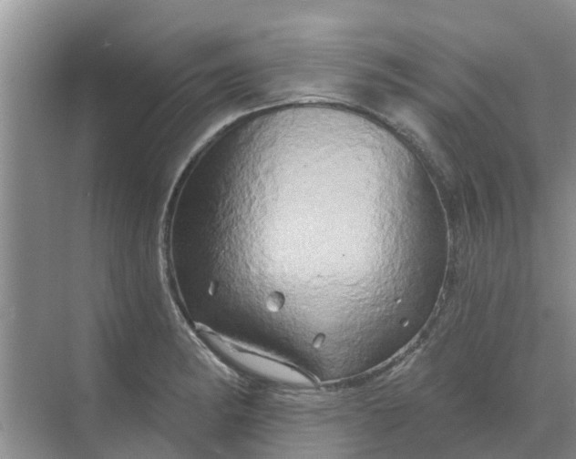 X0000068771182200605121654