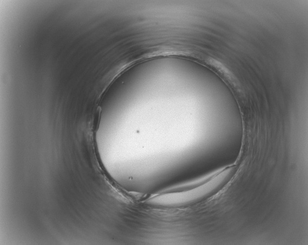 X0000068771185200605121654