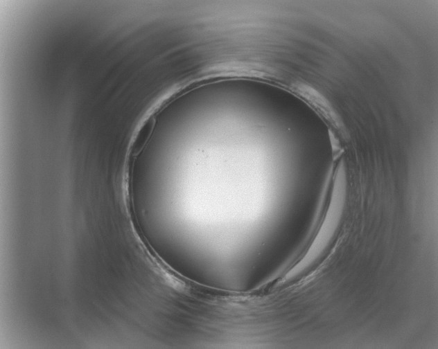 X0000068771188200605121654