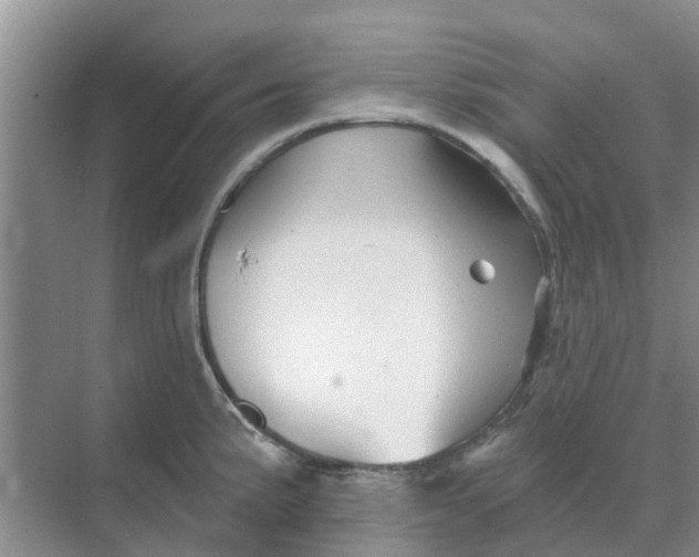 X0000068771191200605121654