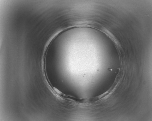 X0000068771196200605121653