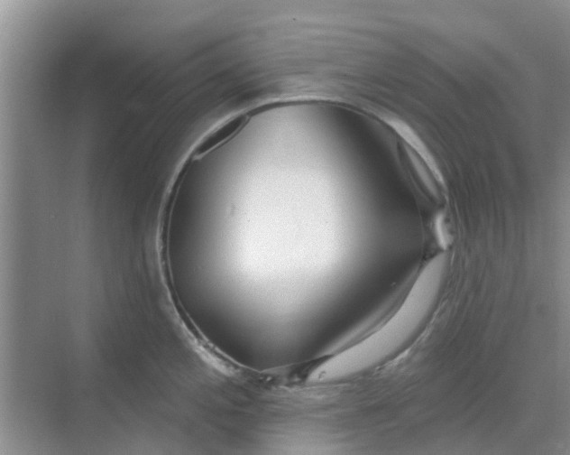 X0000068771197200605121653