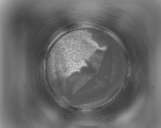 X0000068771198200605121653