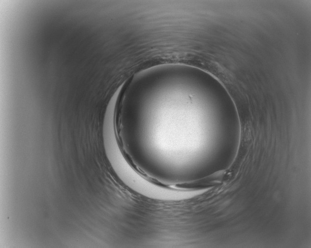 X0000068771202200605121653