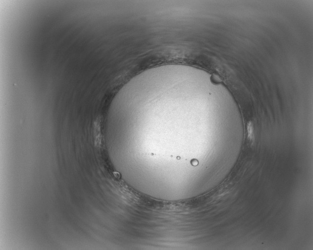 X0000068771203200605121653