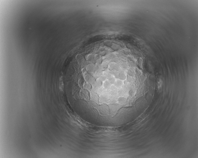 X0000068771204200605121653