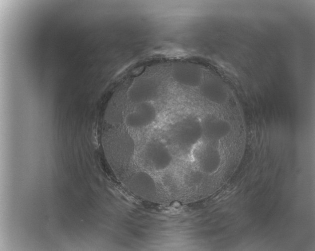 X0000068771205200605121653