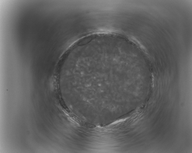 X0000068771208200605121653