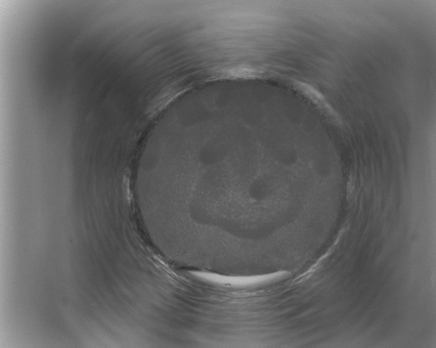 X0000068771209200605121653