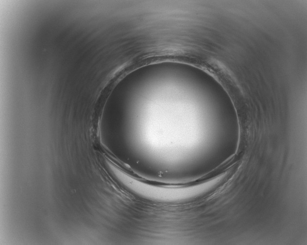 X0000068771210200605121653