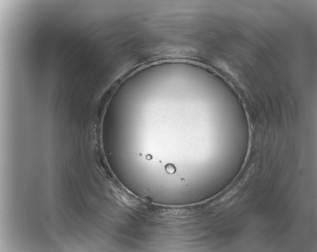 X0000068771211200605121653