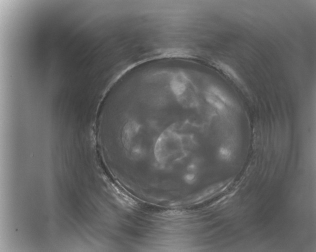 X0000068771212200605121653