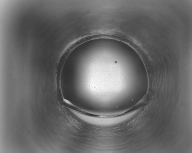 X0000068771214200605121653