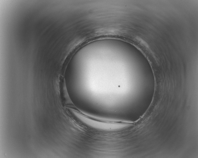 X0000068771218200605121653