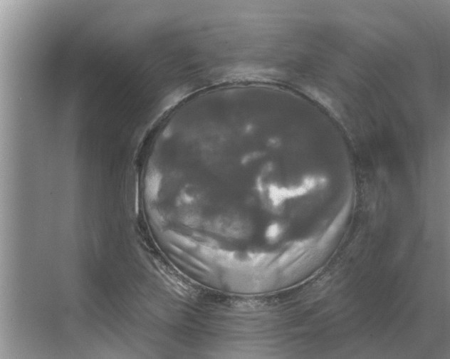 X0000068771219200605121653