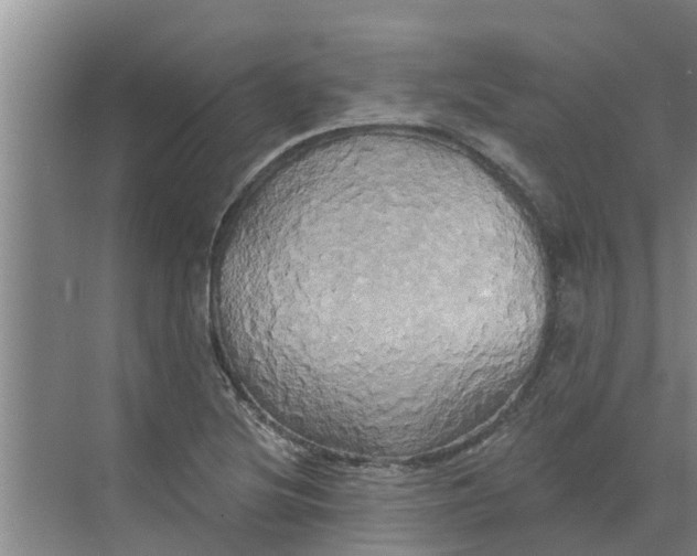 X0000068771220200605121653