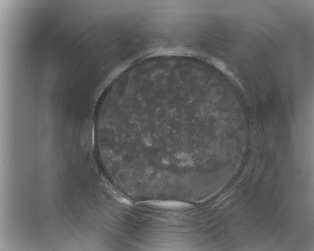 X0000068771221200605121653