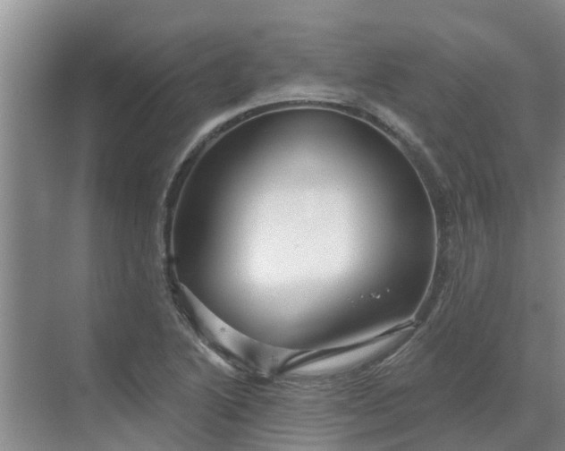 X0000068771222200605121653