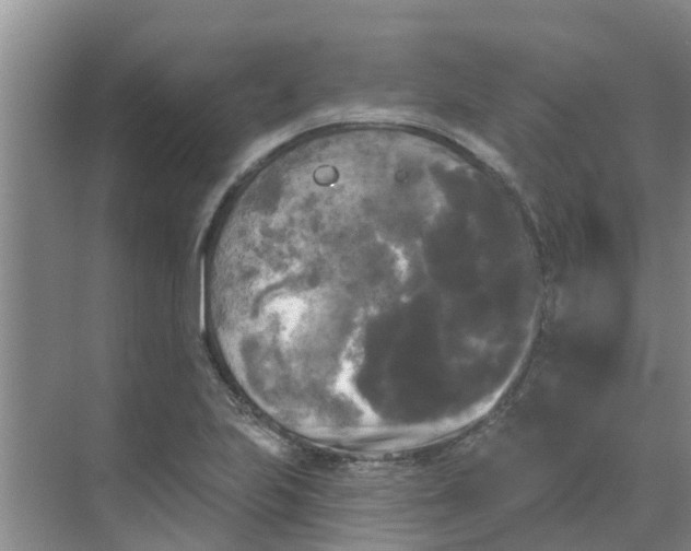 X0000068771223200605121653