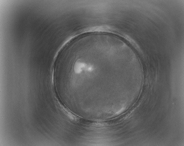 X0000068771224200605121653