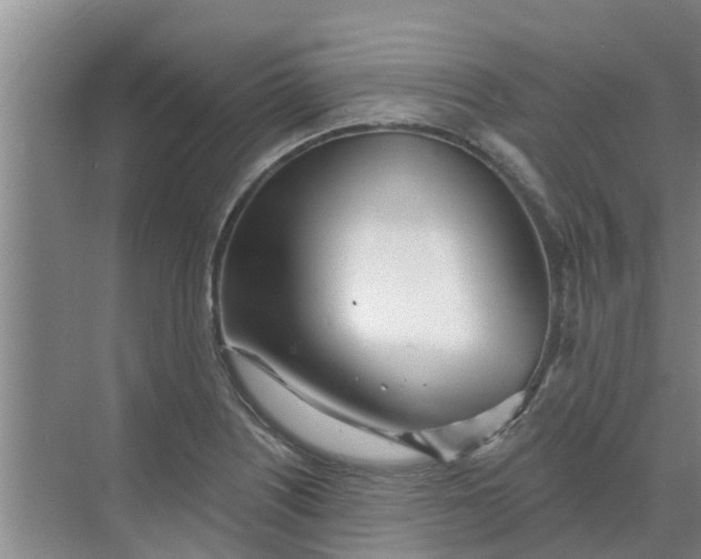 X0000068771226200605121653