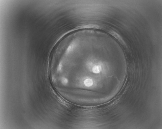 X0000068771228200605121653