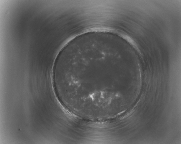 X0000068771229200605121653