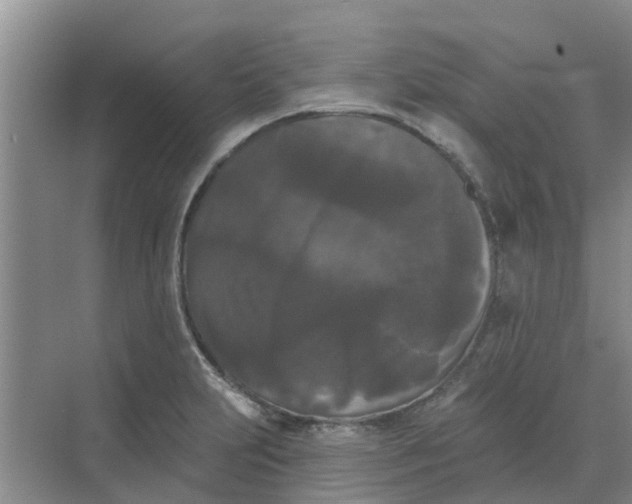 X0000068771231200605121653