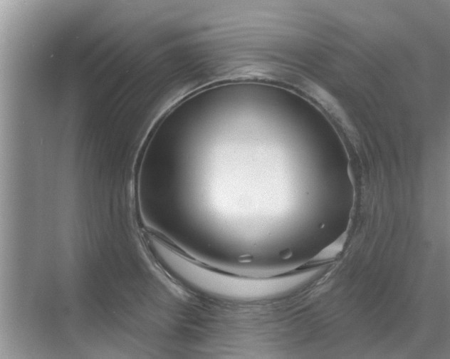 X0000068771234200605121653