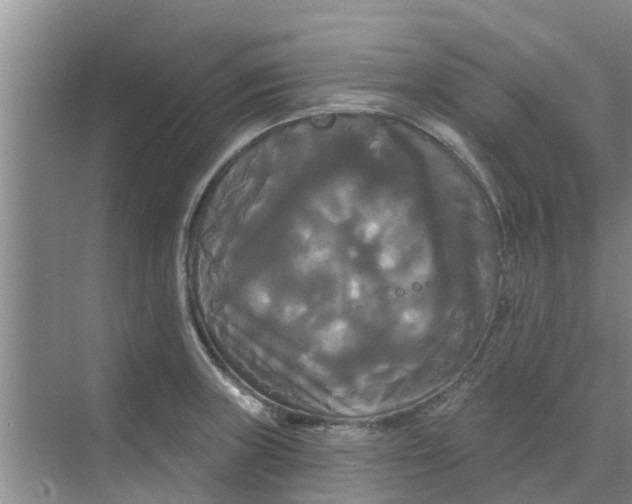 X0000068771235200605121653