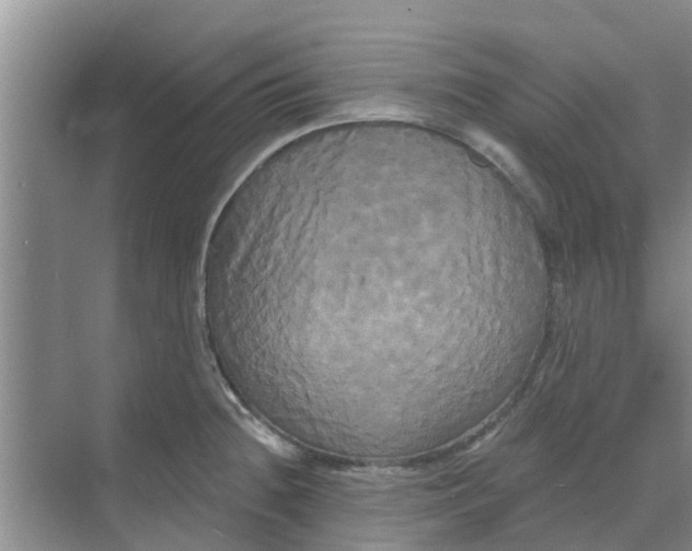 X0000068771236200605121653