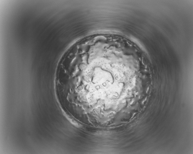 X0000068771237200605121653