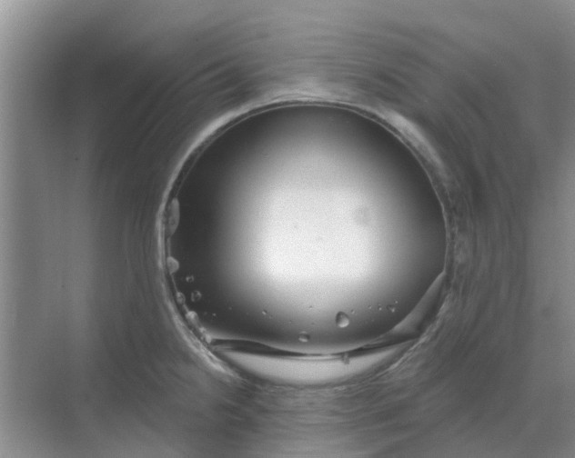 X0000068771238200605121653