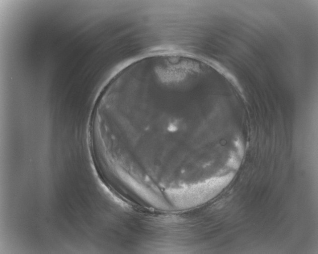 X0000068771239200605121653