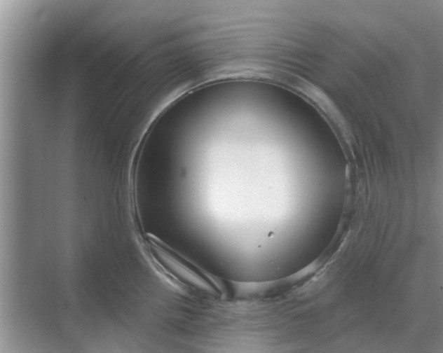 X0000068771242200605121653