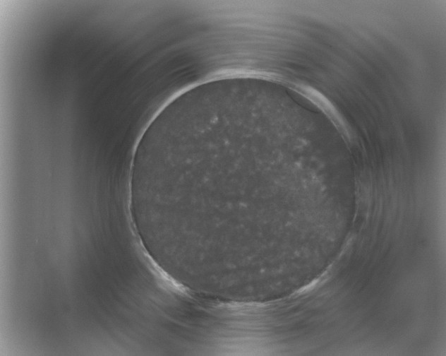 X0000068771244200605121653