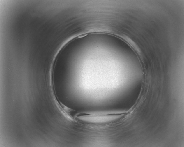 X0000068771246200605121653