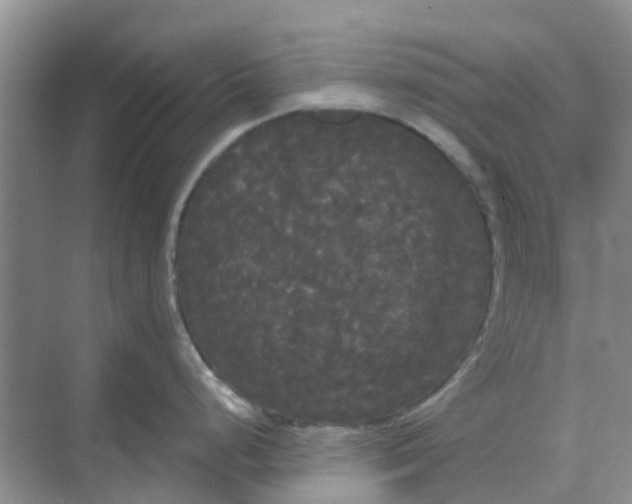 X0000068771248200605121653