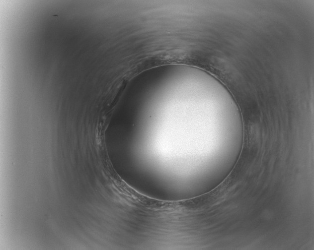 X0000068771250200605121653