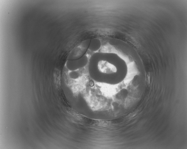 X0000068771251200605121653