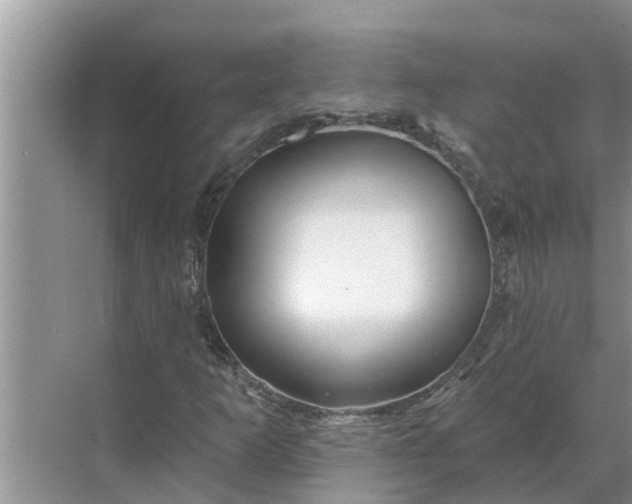 X0000068771253200605121652