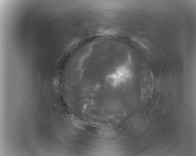 X0000068771254200605121652