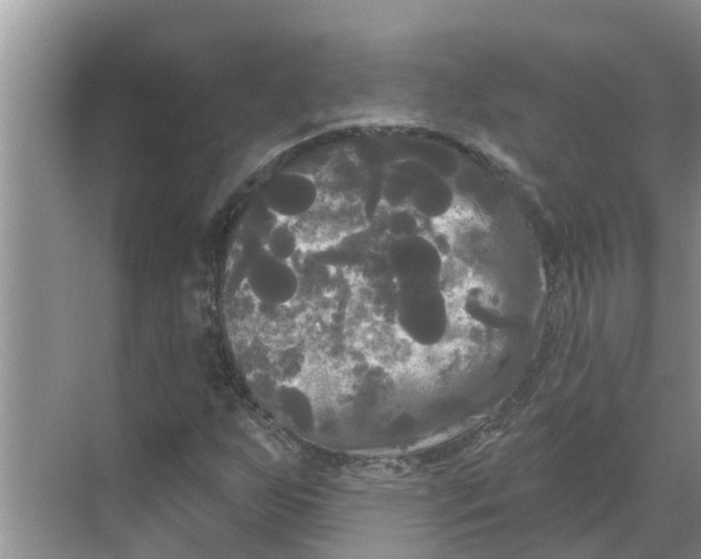 X0000068771255200605121652